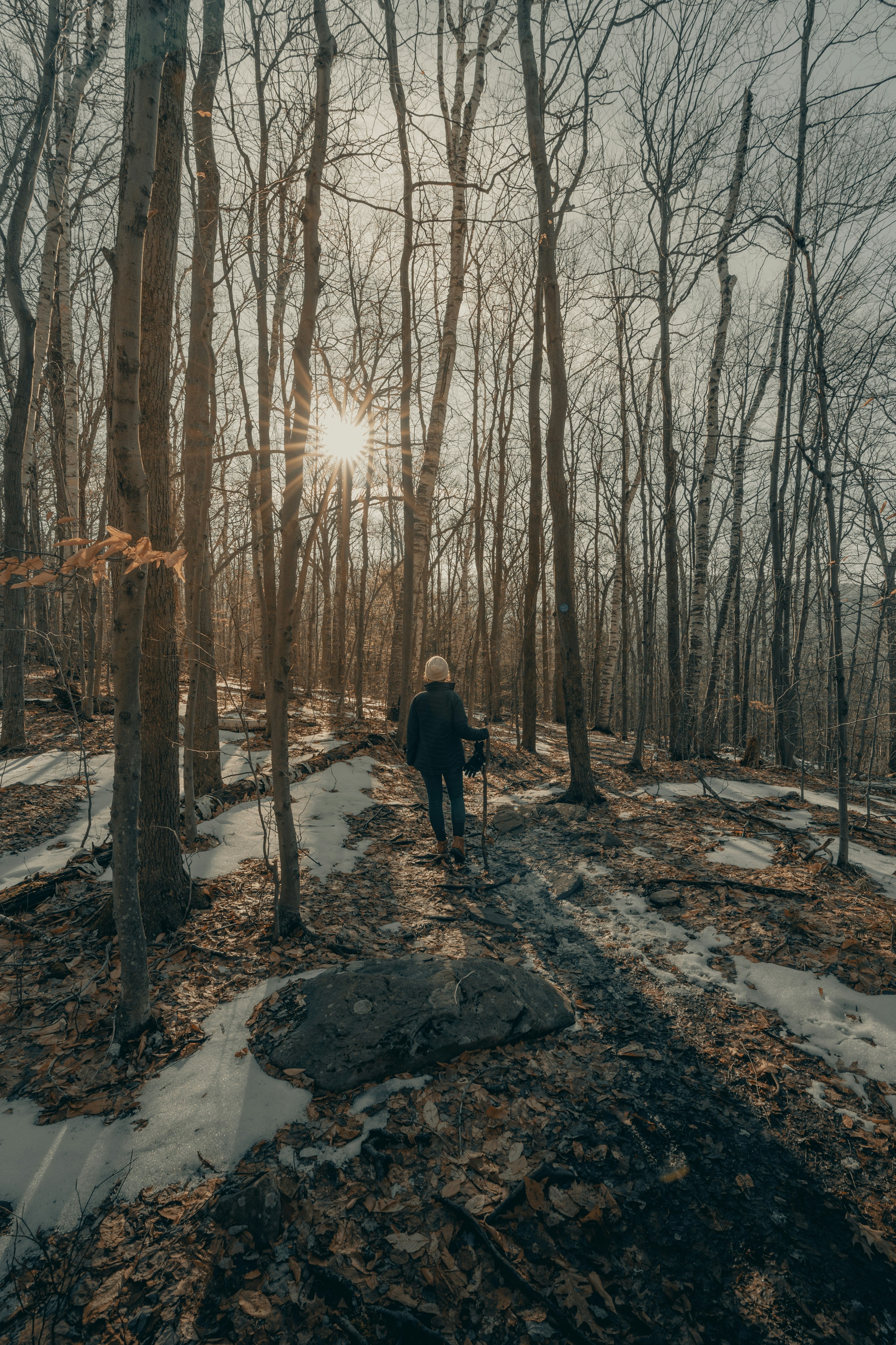 person in black jacket standing on snow covered ground in between bare trees during daytime